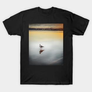 Seagull T-Shirt